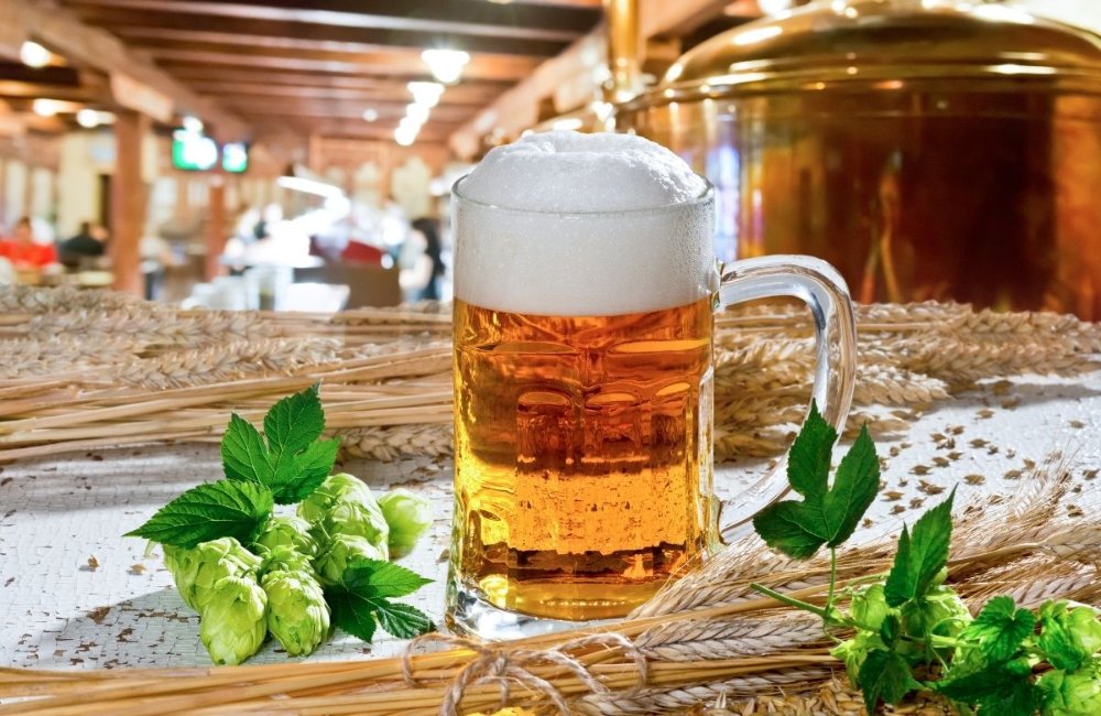 <b>How to choose the right yeast strain in beer brewing?</b>